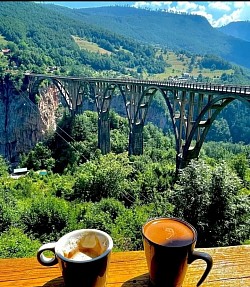 Мост на Ђурђевића Тари