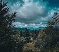 Планинска природа у околини Ђурђевића Таре