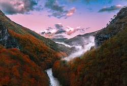 Магла која лебди између шуме и реке Таре