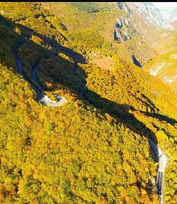 Јесењи колорит нетакнуте шуме у Ђурђевића Тари