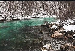 Хук реке Таре који одјекује кроз густу шуму