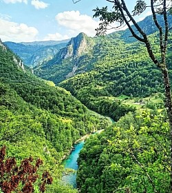 Кањон Таре као живи музеј природне историје