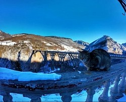 Мост на Тари као инспирација за пејзажне фотографе