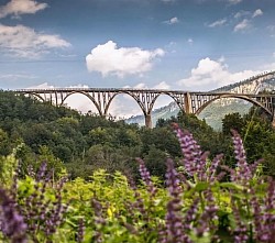 Мост у кањону Таре