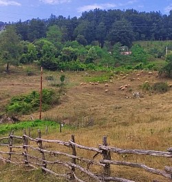 Ђурђевића Тара сеоски живот црна гора