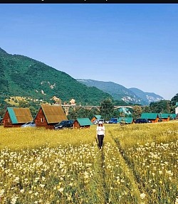 Лепоте ђурђевића таре