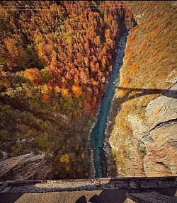 Дивља и нетакнута природа кањона Таре